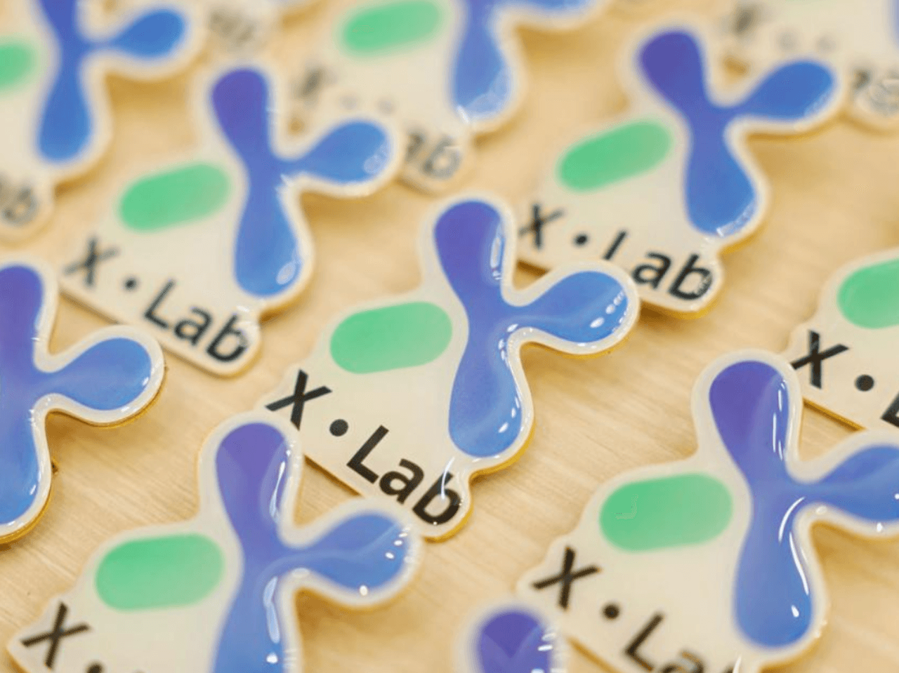 X-Lab胸针